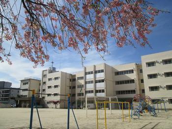 松戸市樋野口 新築戸建(松戸市立中部小学校)