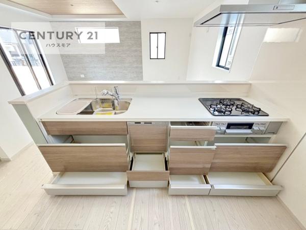 柏市藤心2丁目　1号棟　新築戸建て