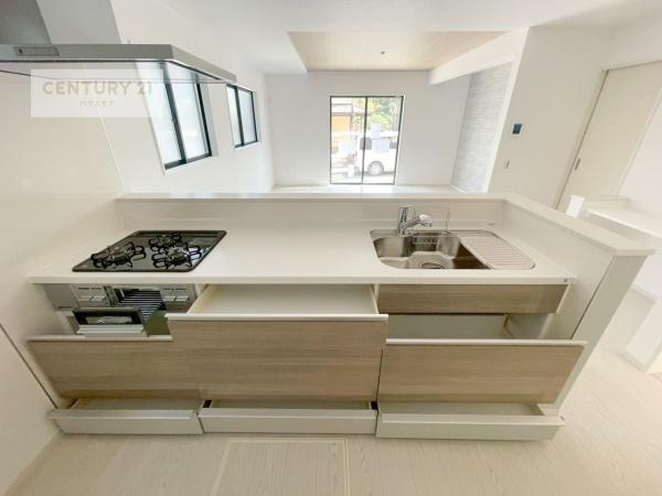 我孫子市船戸3丁目　1号棟　新築戸建て
