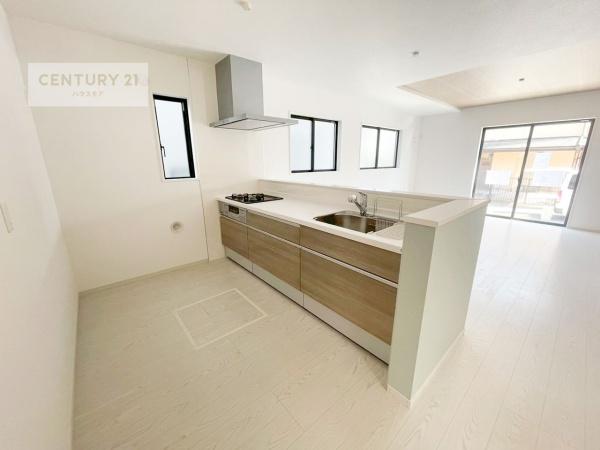 我孫子市船戸3丁目　1号棟　新築戸建て