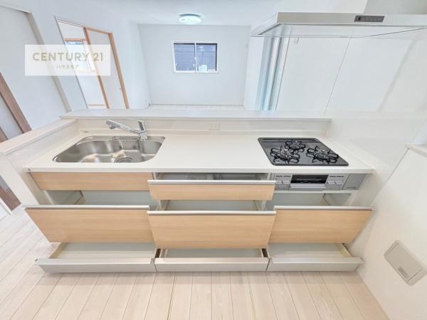 柏市つくしが丘５丁目　新築戸建て