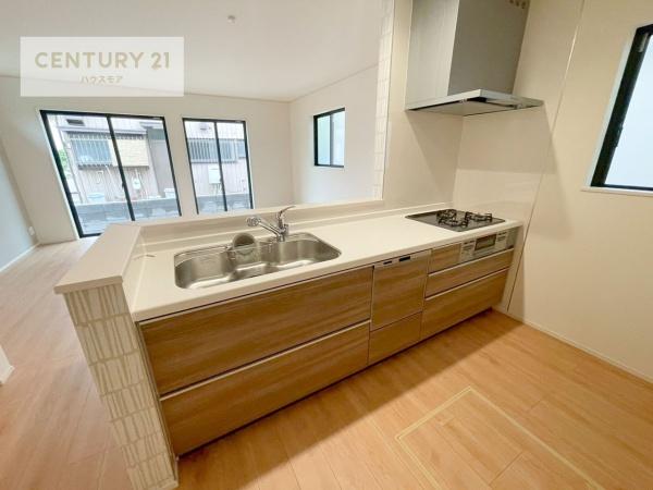 松戸市竹ケ花　2号棟　新築戸建て