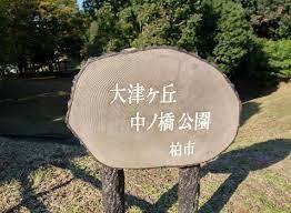 柏市大井 新築戸建(中ノ橋公園)