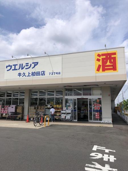 牛久市岡見町　新築戸建て(ウエルシア牛久上柏田店)