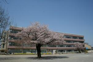 バームステージ北柏ヴィエント(柏市立富勢小学校)