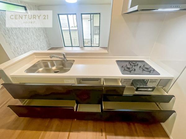松戸市八ケ崎5丁目　2号棟　新築戸建