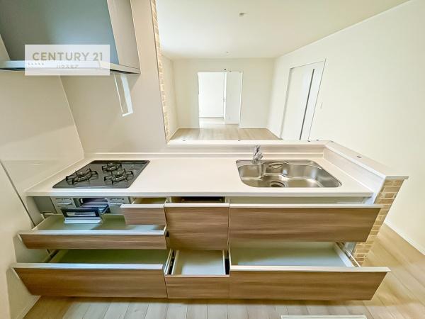 松戸市中和倉　3号棟　新築戸建