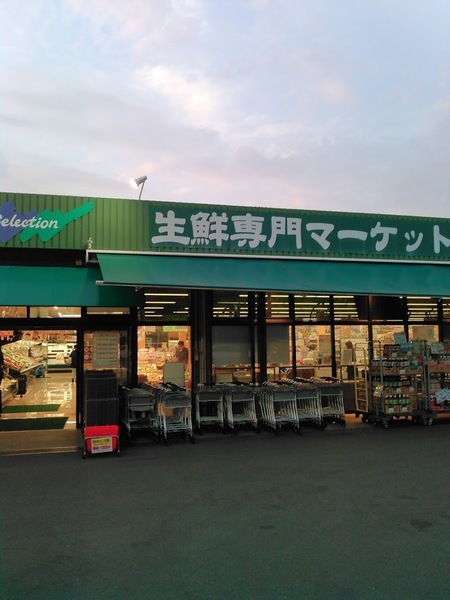 柏市西柏台1丁目 店舗(FOODS MARKET Selection西原店)