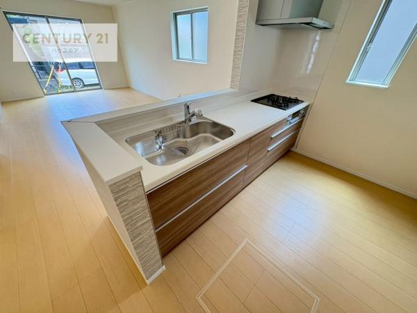 流山市野々下5丁目　A号棟　新築戸建