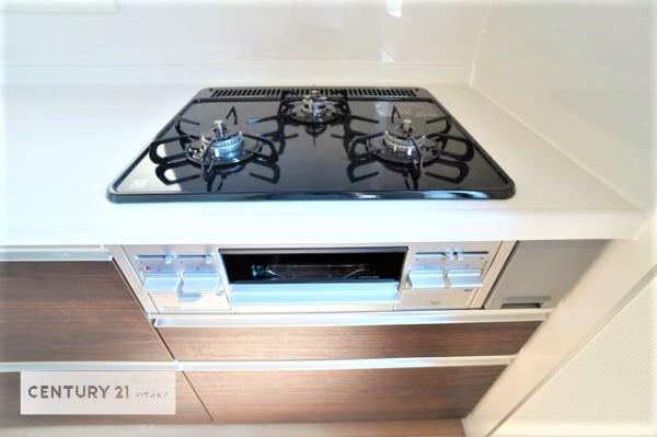 松戸市西馬橋5丁目　2号棟　新築戸建