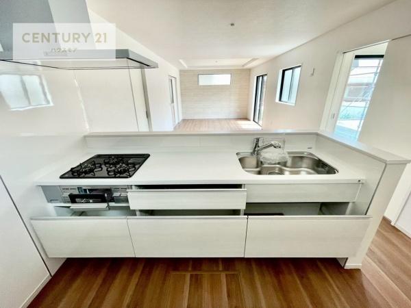 龍ケ崎市野原町　2号棟　新築戸建