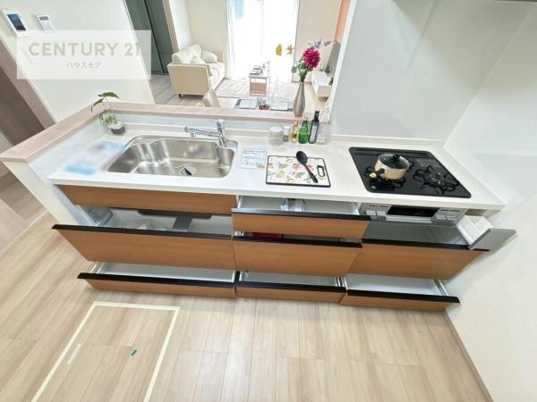 松戸市小金原5丁目　E号棟　新築戸建