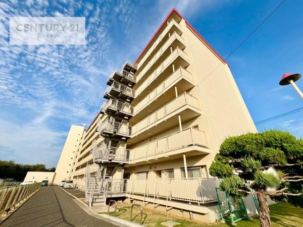 マンション柏サルビア