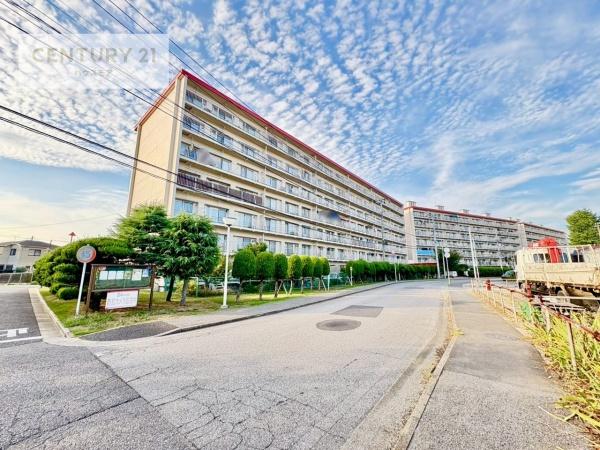 マンション柏サルビア