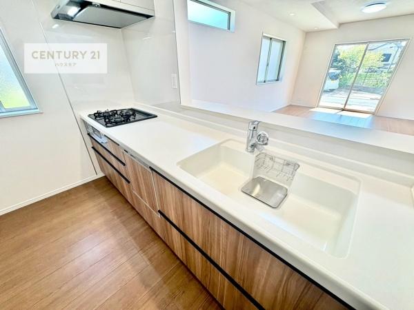 松戸市千駄堀　D号棟　新築戸建て