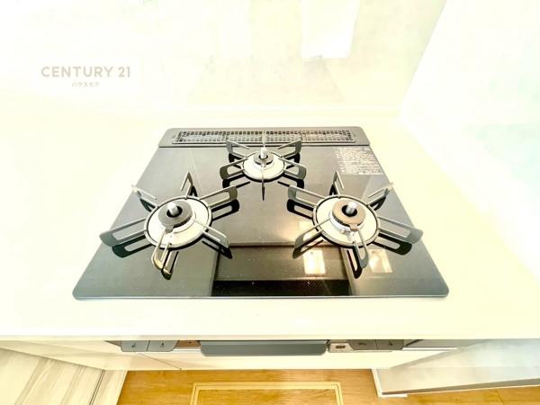 松戸市古ケ崎　新築戸建