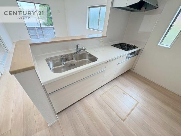 流山市流山3丁目　1号棟　新築戸建