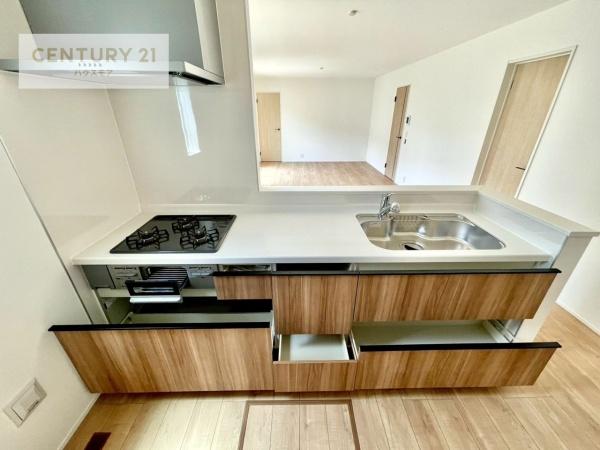 つくば市宝陽台 新築戸建て(キッチン)