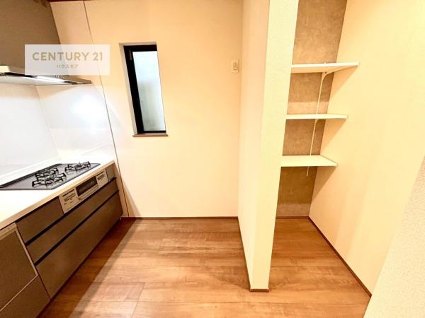 松戸市栄町7丁目 新築戸建(収納)