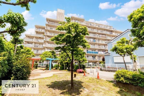 ライネスハイム松戸五香