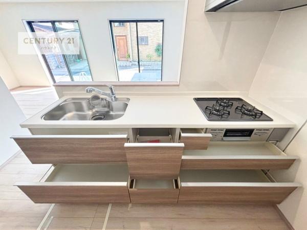 松戸市中和倉　2-D号棟　新築戸建