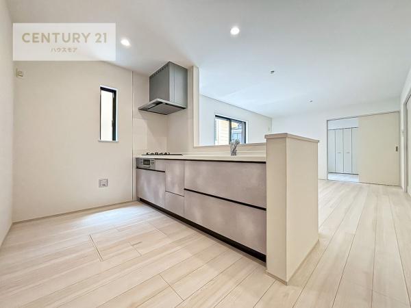 松戸市八ケ崎3丁目　2号棟　新築戸建