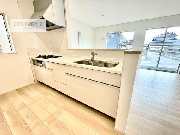 つくば市大曽根　4号棟　新築戸建