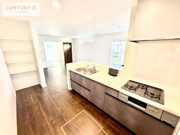 取手市井野　3号棟　新築戸建て