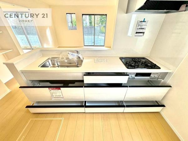 柏市花野井　1-1号棟　新築戸建