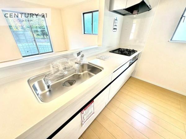 柏市花野井　1-1号棟　新築戸建