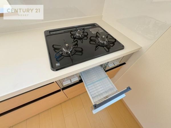 柏市篠籠田　B号棟　新築戸建