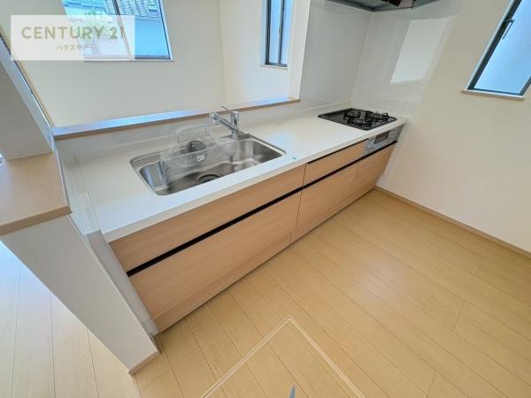 柏市篠籠田　B号棟　新築戸建