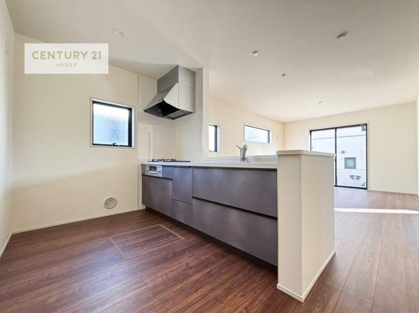 野田市大殿井　1号棟　新築戸建