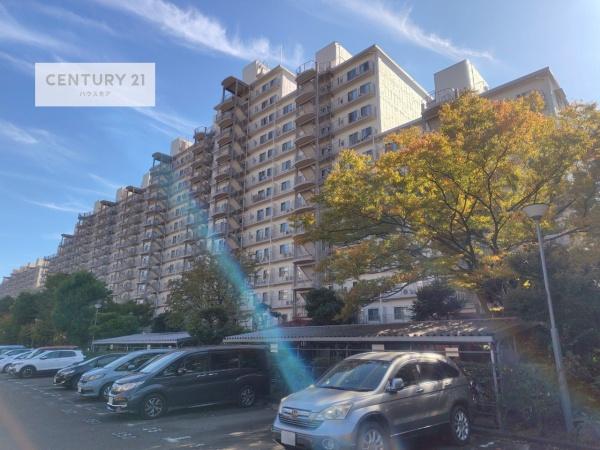 サンライトパストラル五番街Ｄ棟