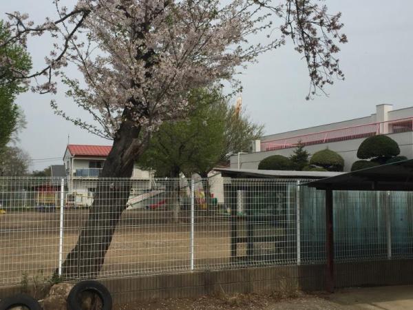 常盤平コーポ(三空保育園)