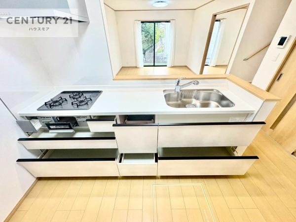 守谷市けやき台6丁目　B号棟　新築戸建て