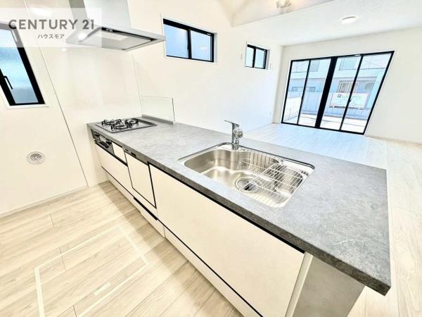 松戸市新松戸南1丁目　2号棟　新築戸建