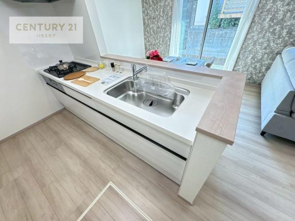 松戸市小金原5丁目　B号棟　新築戸建