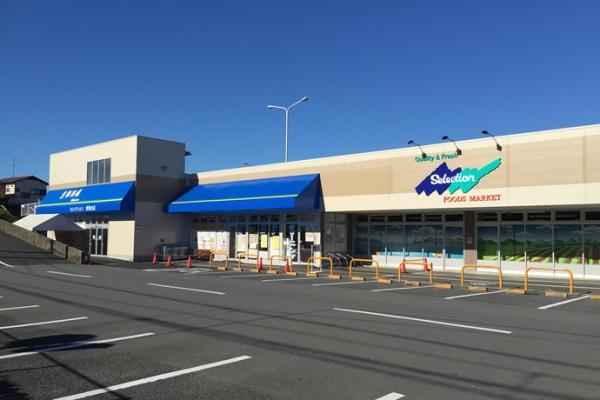 柏市南逆井4丁目　新築戸建(FOODS　MARKET　Selectionしいの木台店)