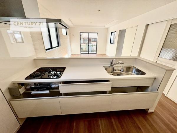 守谷市百合ケ丘2丁目　新築戸建て