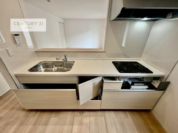 柏市藤心1丁目　1号棟　新築戸建て