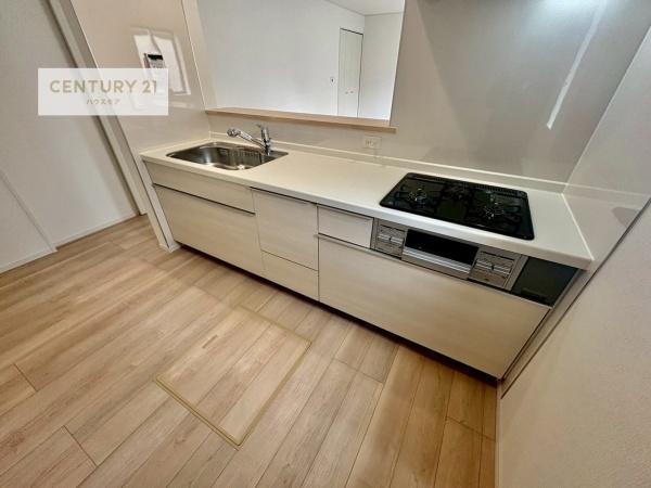 柏市藤心1丁目　1号棟　新築戸建て