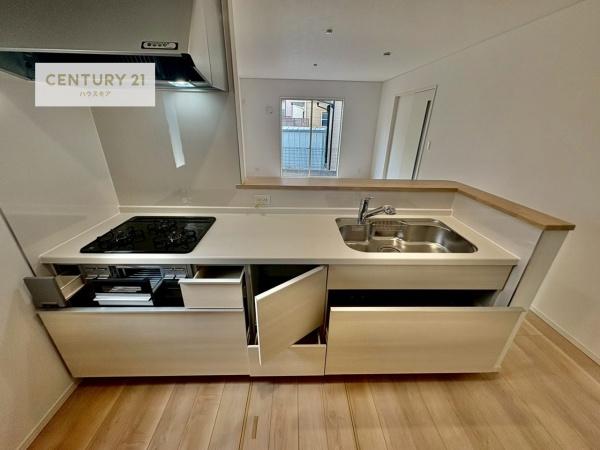 柏市藤心1丁目　2号棟　新築戸建て