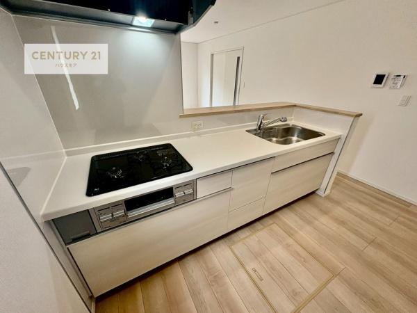 柏市藤心1丁目　2号棟　新築戸建て