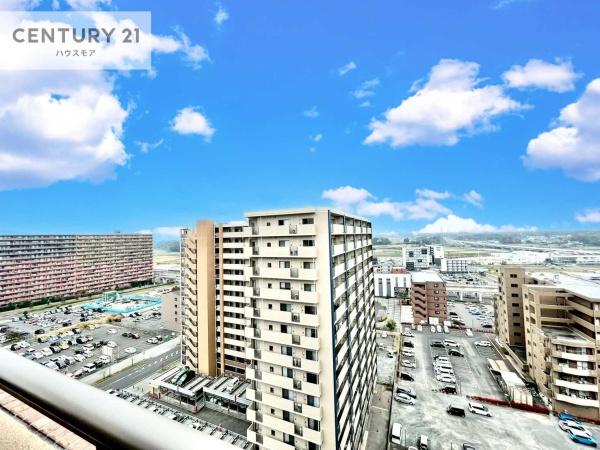 アデニウムつくば万博記念公園