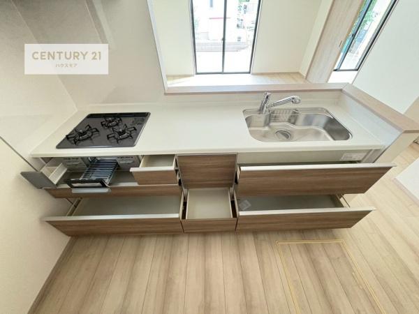 松戸市東平賀　B号棟　新築戸建て