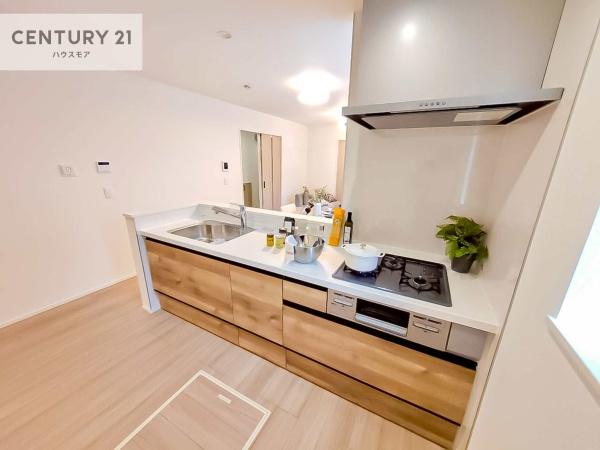 我孫子市並木9丁目　新築戸建