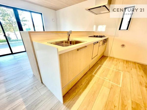 柏市柏の葉5丁目　2号棟　新築戸建