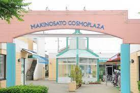 印西市高花5丁目　1号棟　新築戸建て(ランドロームフードマーケットニュータウン南店)