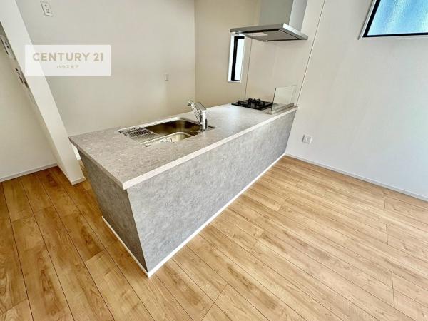 松戸市二十世紀が丘柿の木町　新築戸建